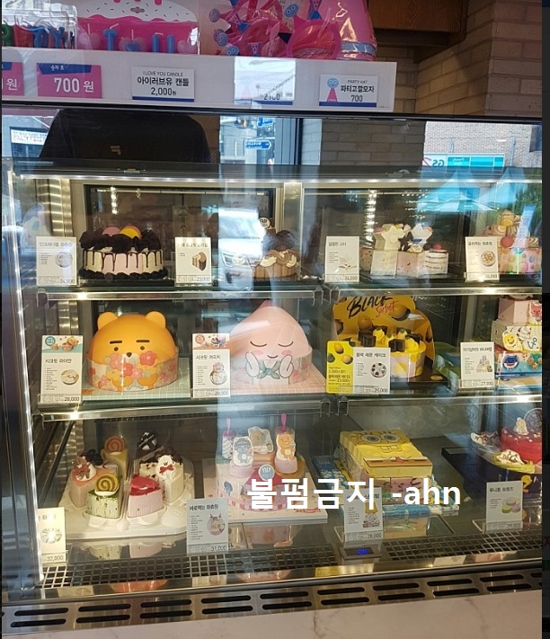사진 2