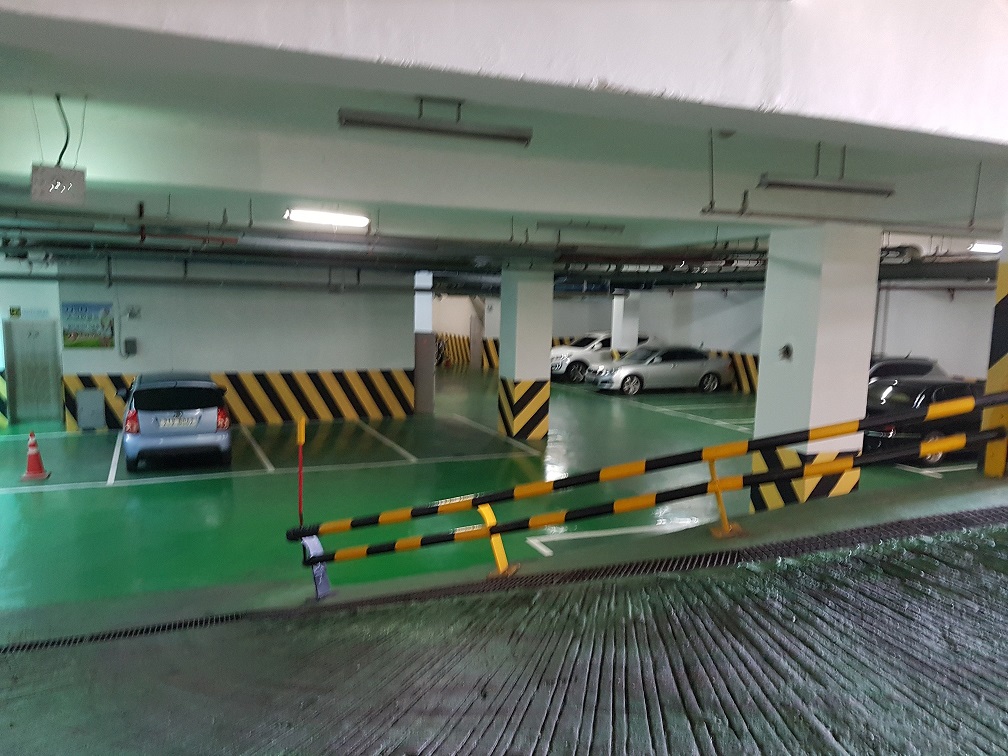 사진 3